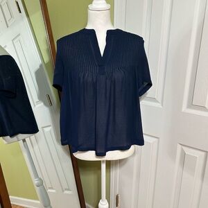 Everly Pintuck Sheer Top